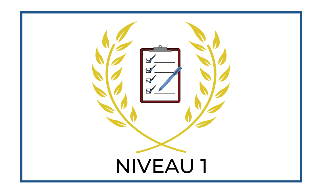 EXAMEN : NIVEAU 1 – François Maiolo