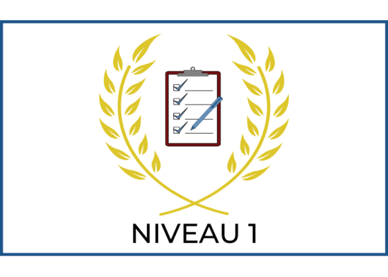 EXAMEN : NIVEAU 1 – V24 Les  Vrais Rigologues