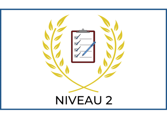 EXAMEN : NIVEAU 2 – DOMINO