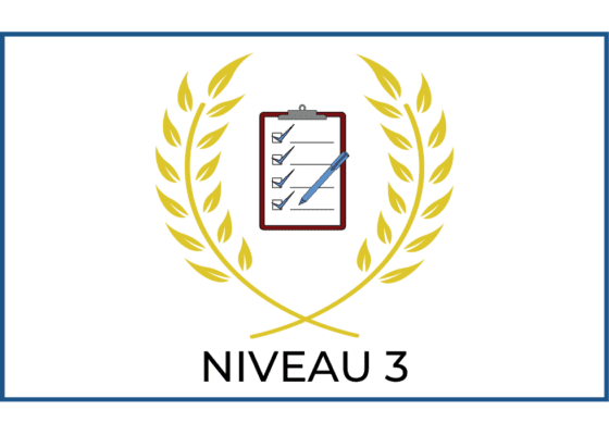EXAMEN : NIVEAU 3